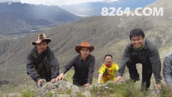 我顶.gif