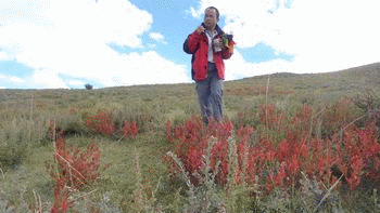 边走边嗑瓜子.gif