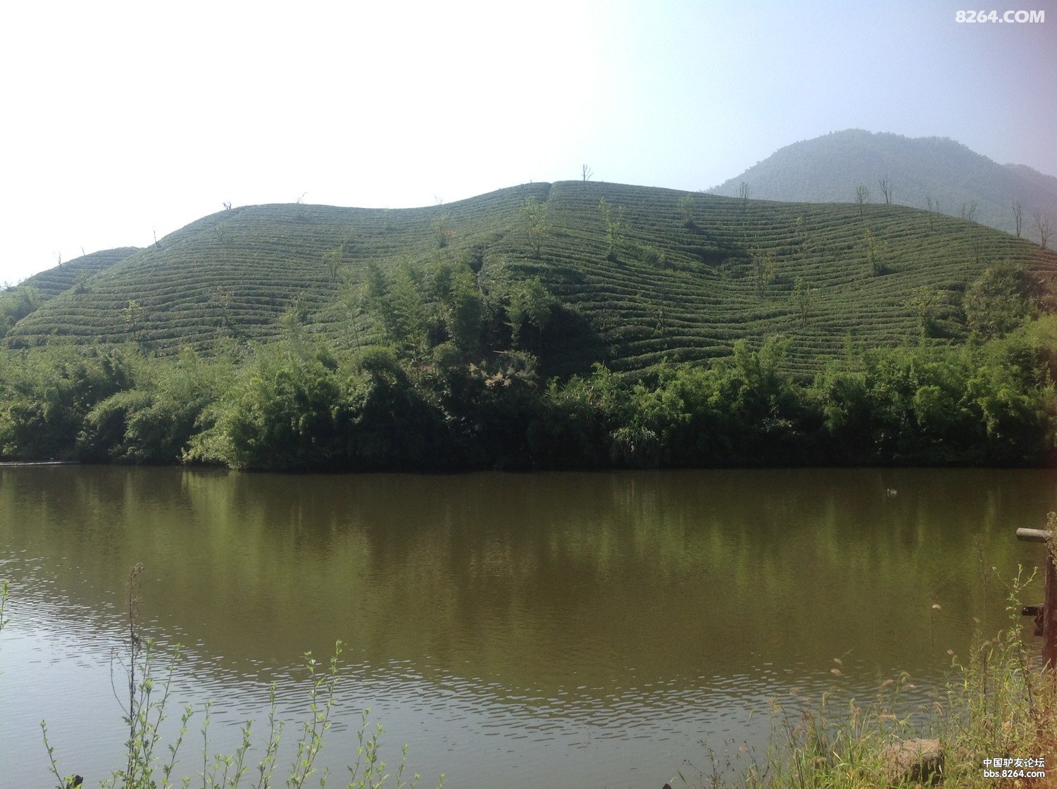 QQͼƬ20130920130103.jpg