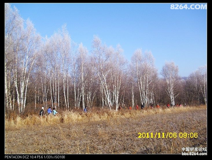 20111178103415286.jpg
