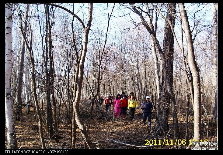 20111178272999586.jpg