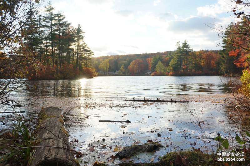 一个美国最普通小镇的郊区风光金秋时节一个愉快的下午散步湖边