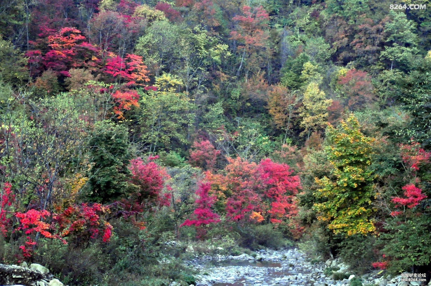 回顾10月23本溪老北湖摩天岭