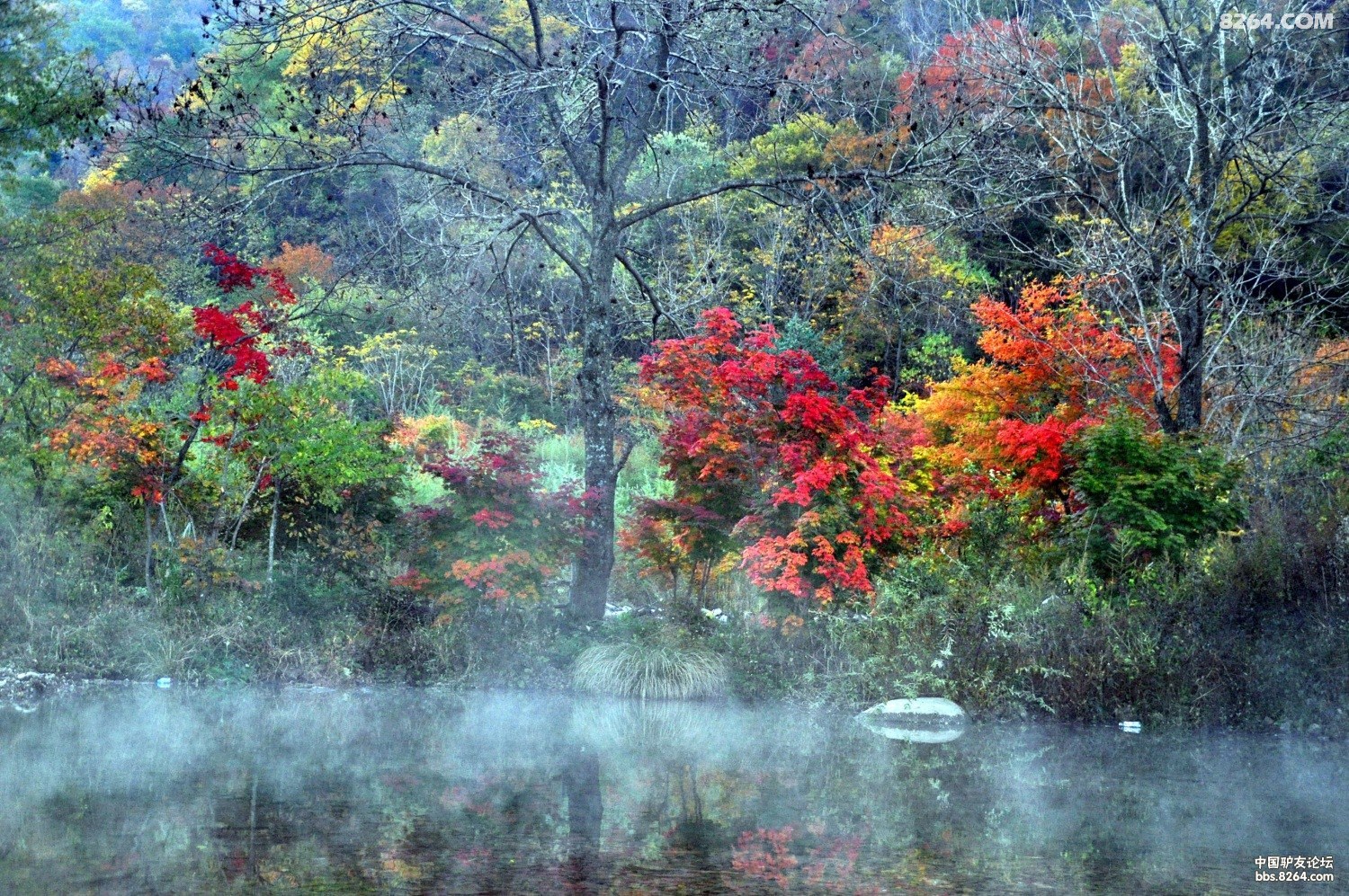 回顾10月23本溪老北湖摩天岭