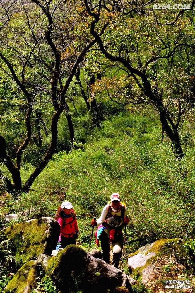 秦岭蒿沟跑马梁