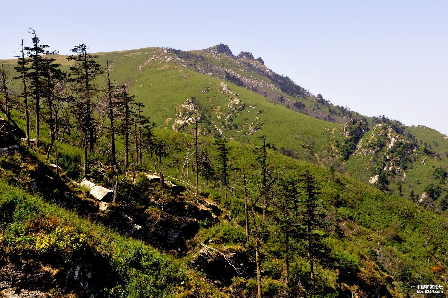 秦岭蒿沟跑马梁