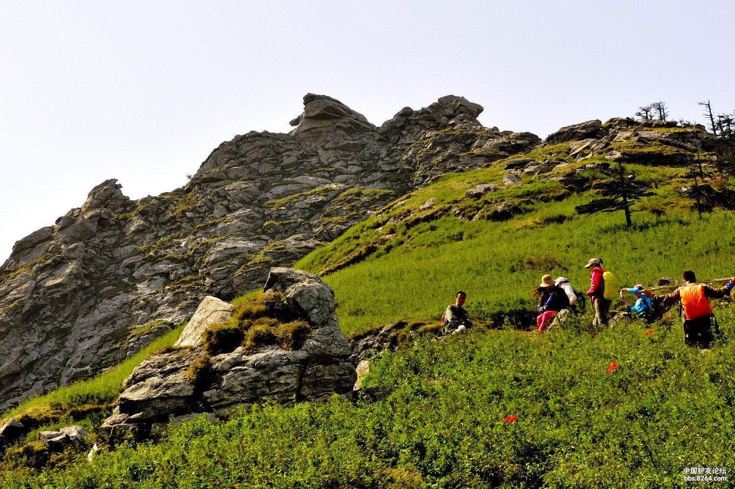 秦岭蒿沟跑马梁