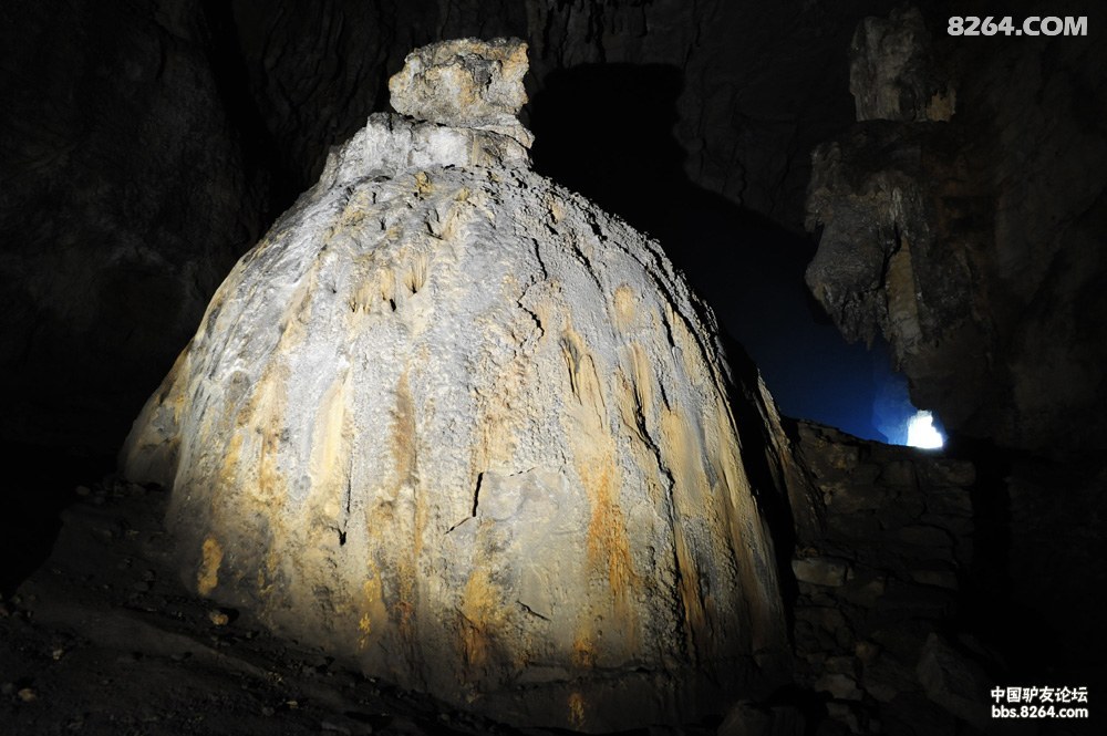 初探百里杜鹃百花洞