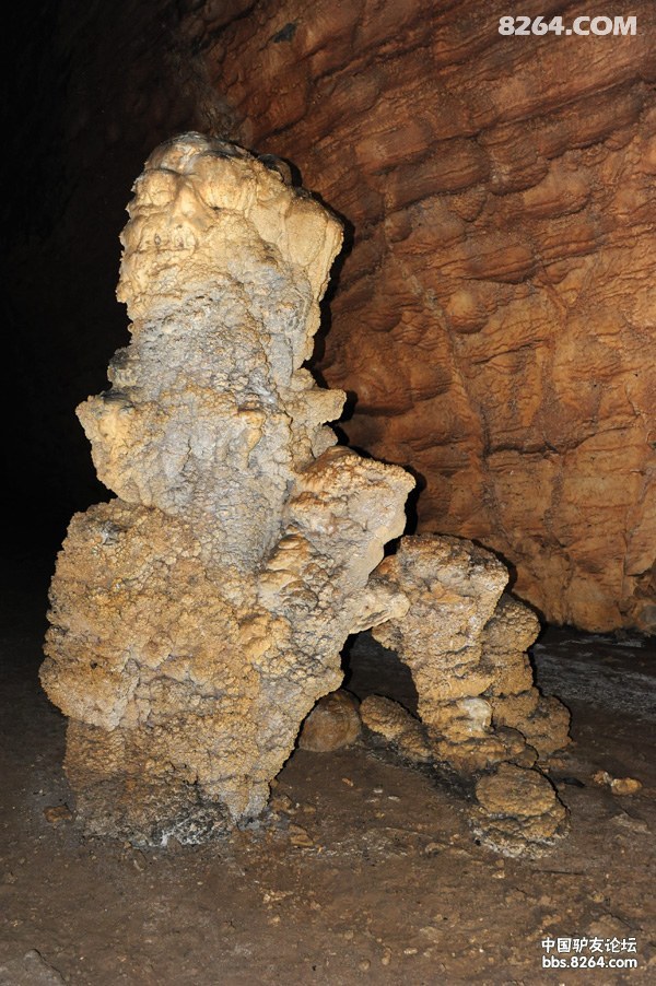 初探百里杜鹃百花洞