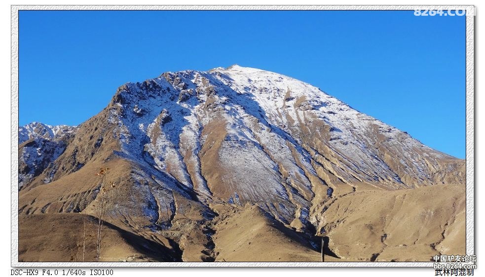 DSC08004.JPG