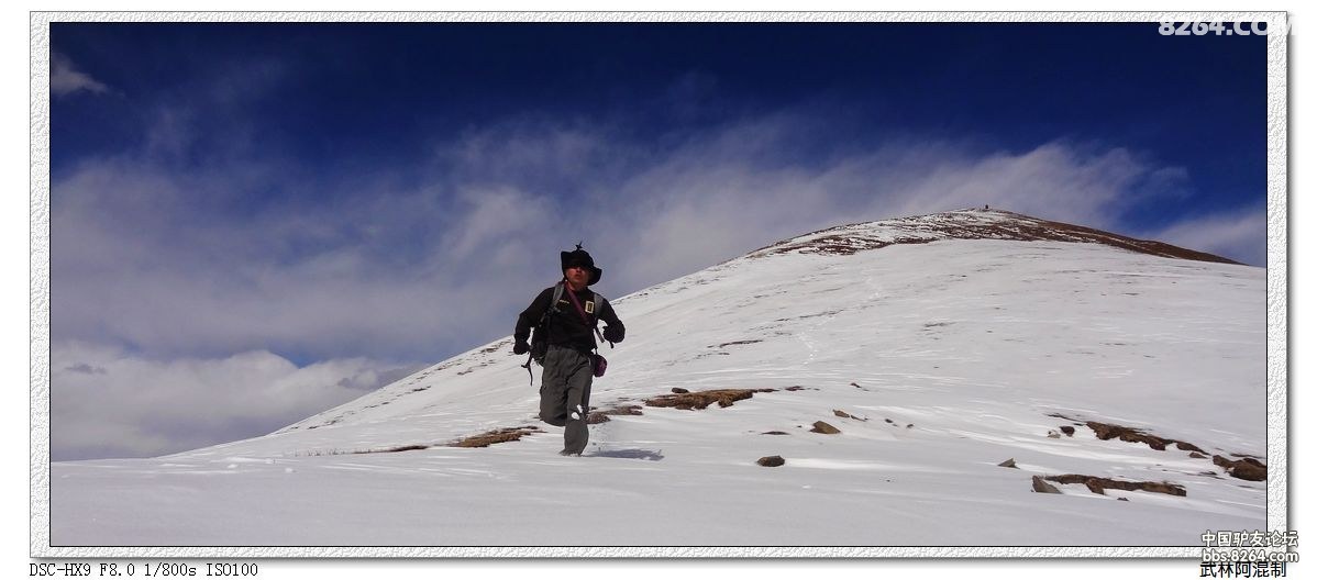 DSC08294.JPG