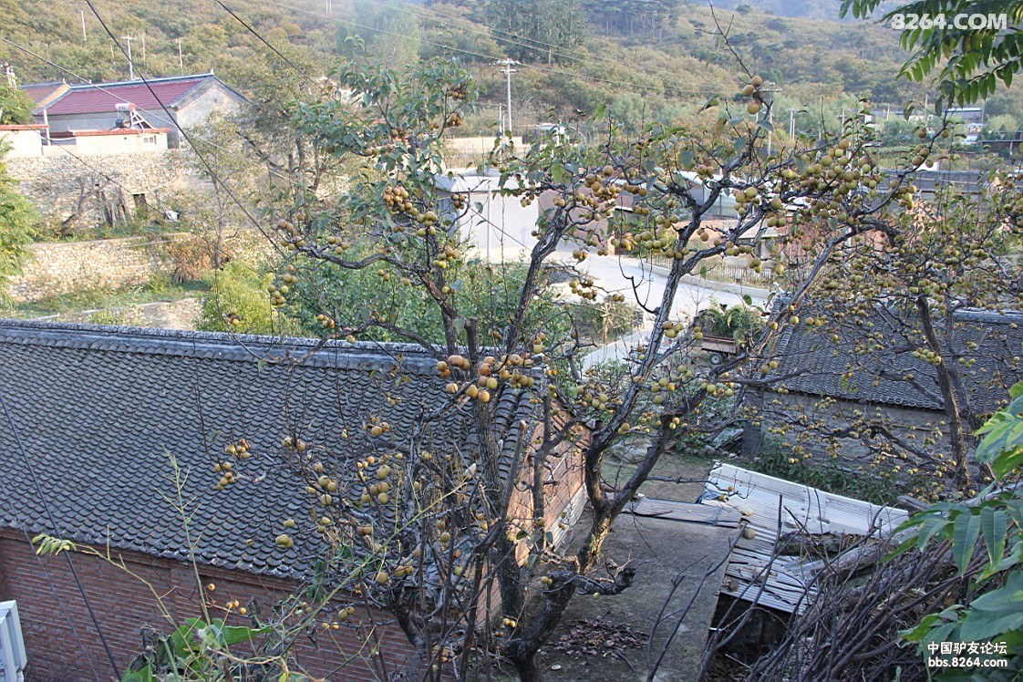 北京最美丽乡村所见所闻游怀柔区渤海镇北沟村