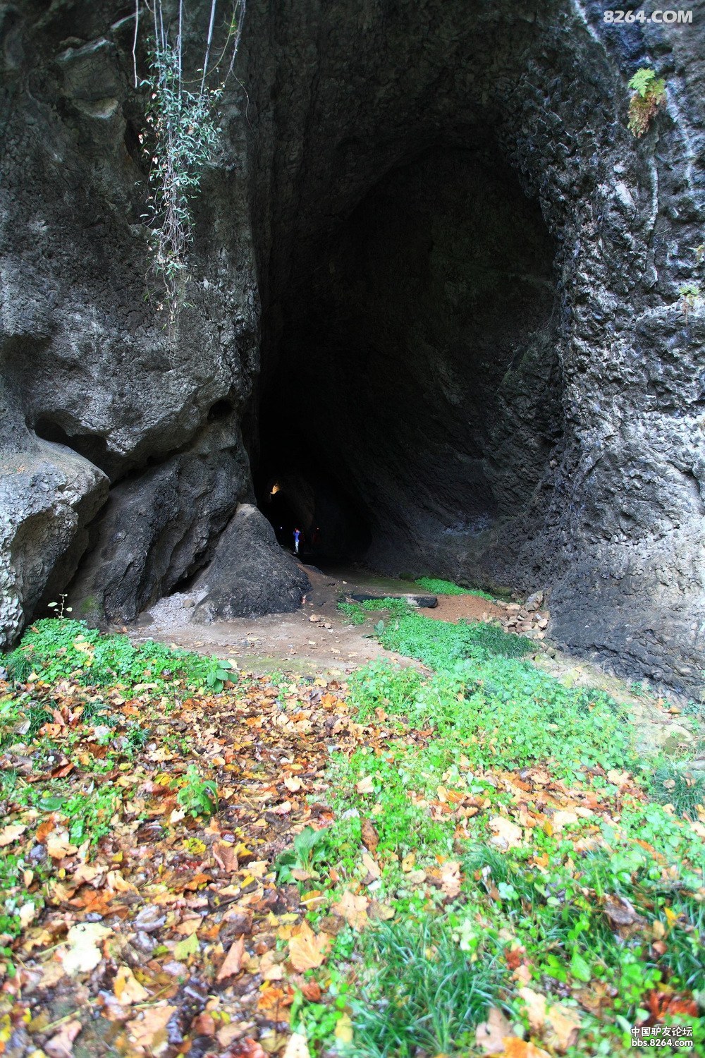 安徽洞穴探险队—南陵燕子洞考察洞穴探险报告