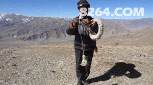 ����ë�߶༸�ŵ�Ч��.gif
