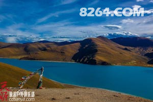 yanghu1.jpg