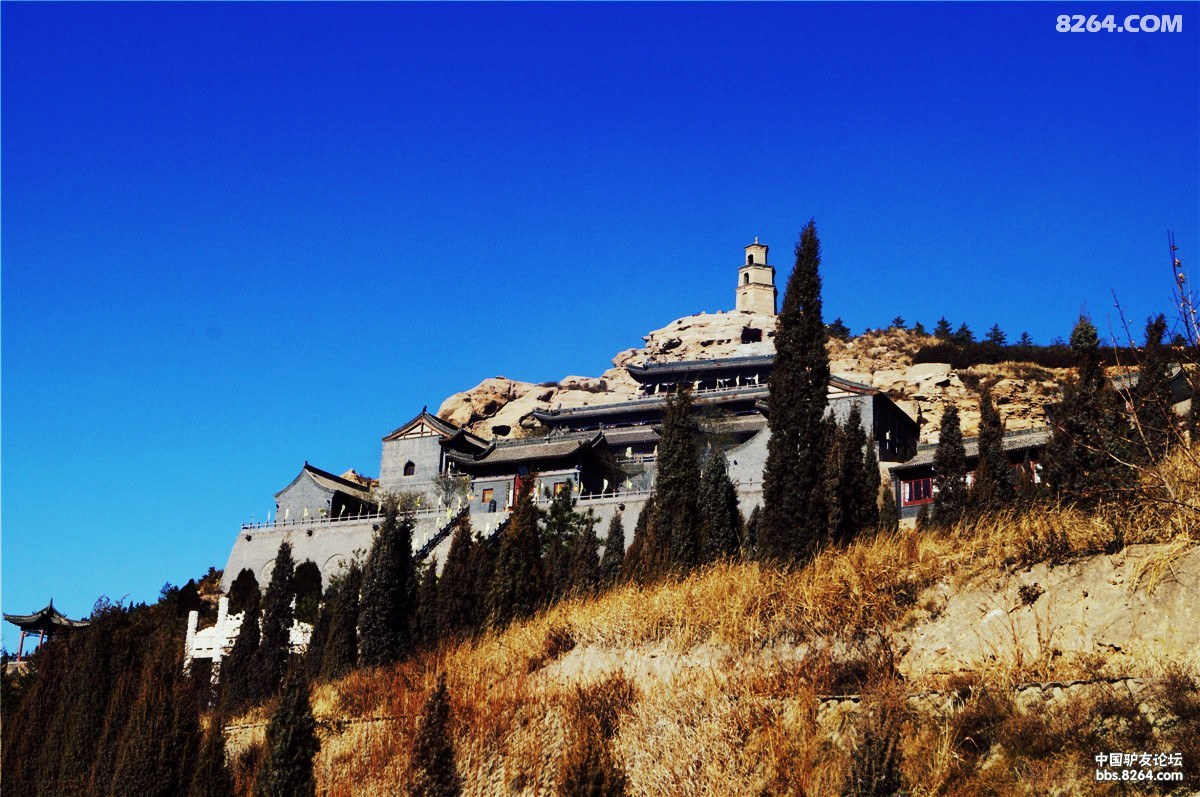 2014苍鹰在路上焦山寺