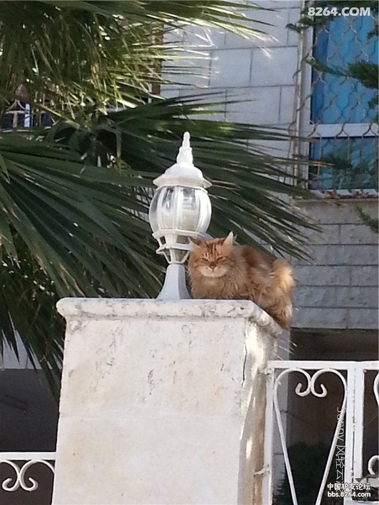 20131224_104149.jpg