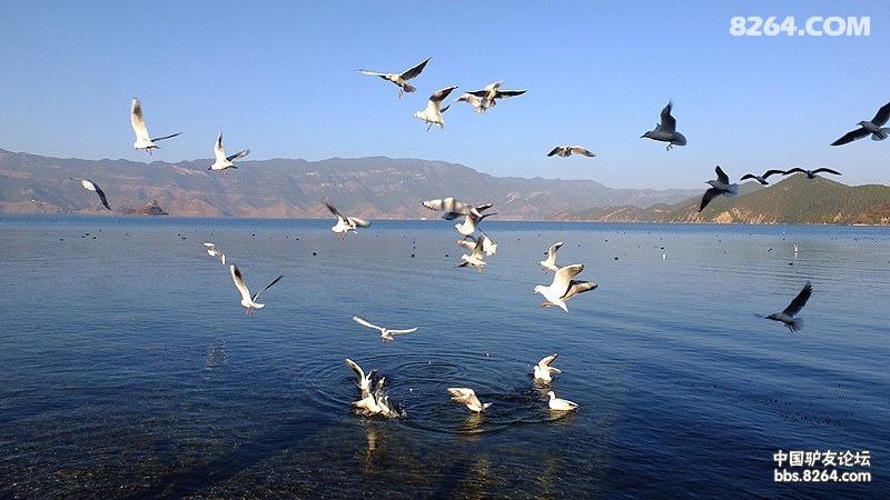 ����� (349).jpg