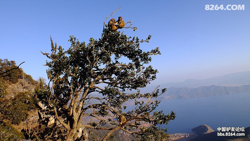 ����� (289).jpg