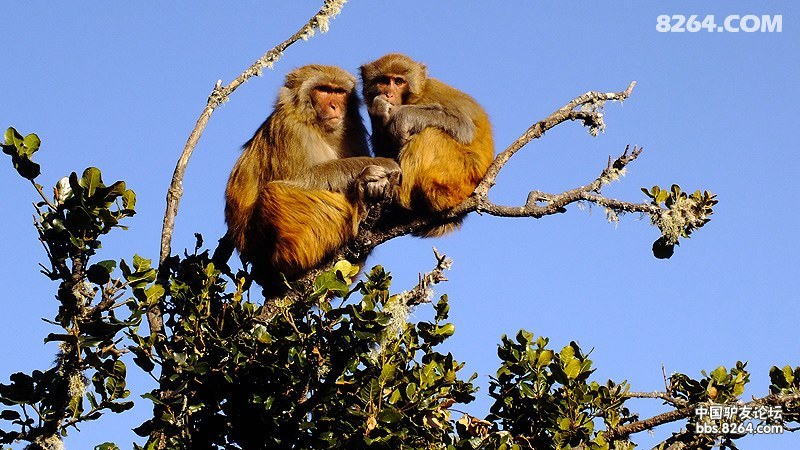 ����� (301).jpg