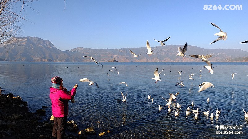 ����� (354).jpg