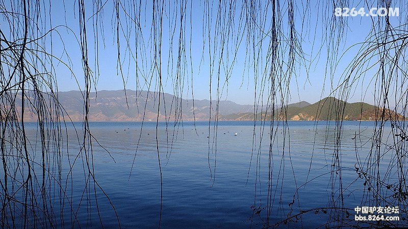 ����� (342).jpg