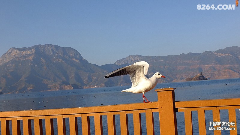 ����� (418).jpg