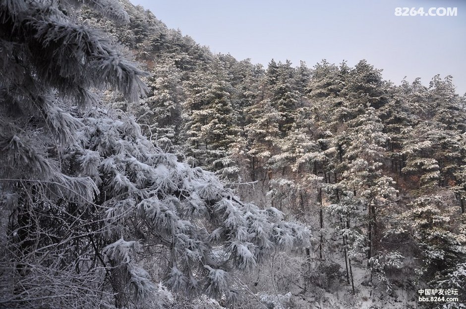 与雪天童话世界共舞——带你观赏赵沟庐山蓝关古道七盘山雪景