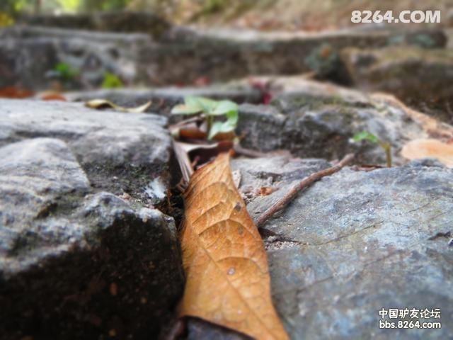  Ƭ 234.jpg