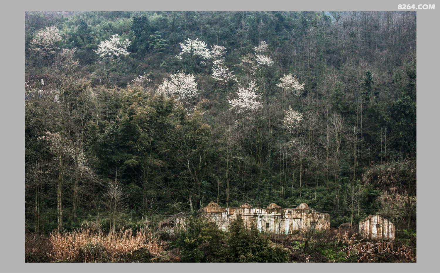 20140301-20140301-_MG_6293.jpg