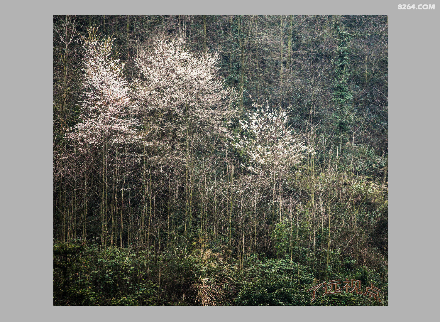 20140301-20140301-_MG_6297.jpg