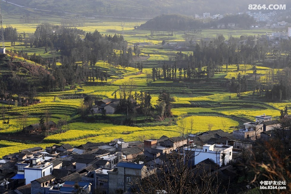 春游罗平,万峰林,普者黑,元阳精彩纪实——美景多多 - 第1页 - 四川