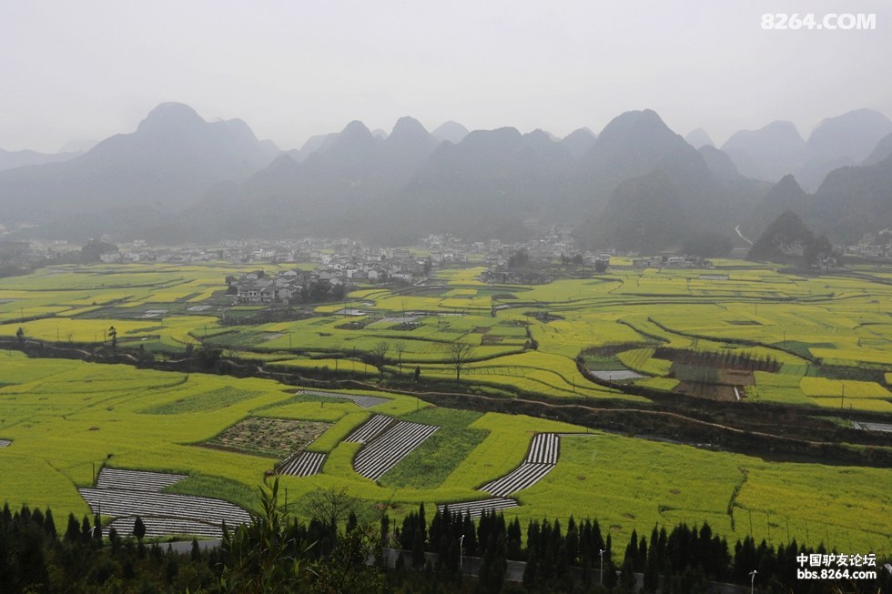 春游罗平,万峰林,普者黑,元阳精彩纪实——美景多多 - 第1页 - 四川