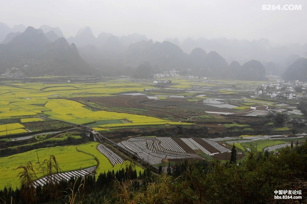 春游罗平,万峰林,普者黑,元阳精彩纪实——美景多多 - 第1页 - 四川