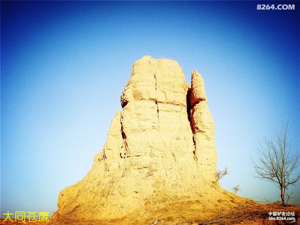 许家窑一侯家窑遗址