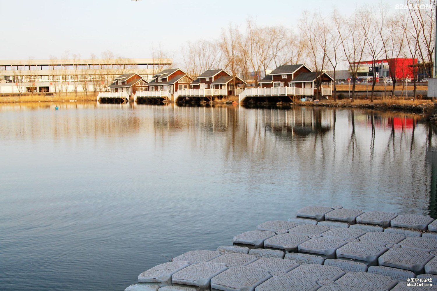 游金港汽车公园 看赛车 (上)