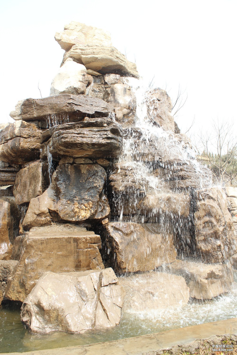 巅峰户外3月23日黄岛野生动物园红石崖吃草莓活动回顾贴欢迎顶贴