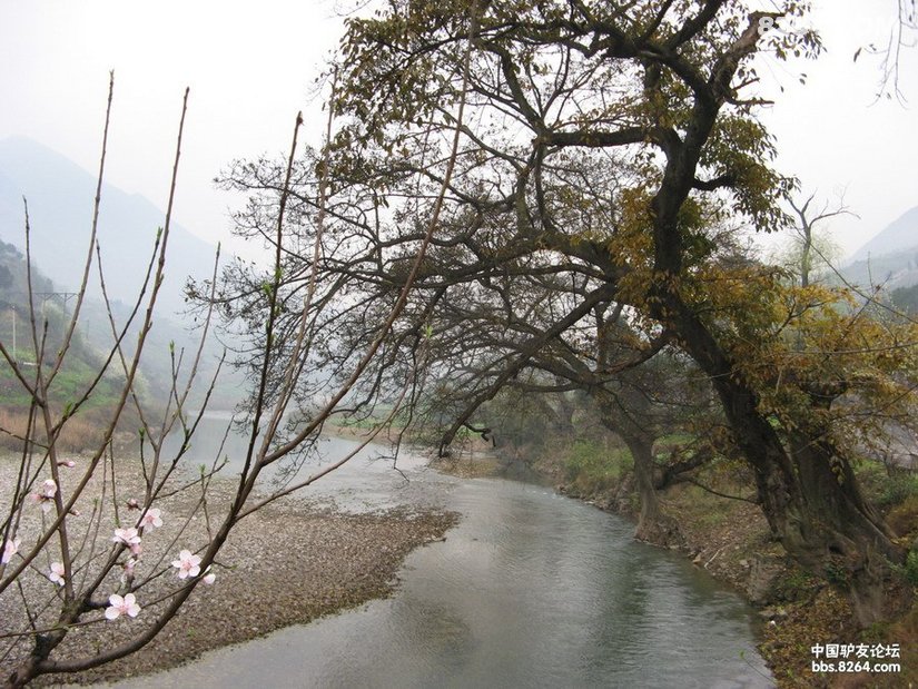 1142278f8fufcqnu73jcqj - 自驾旅行 房车越野 川藏线 公路旅行 在野 去没有天花板的地方