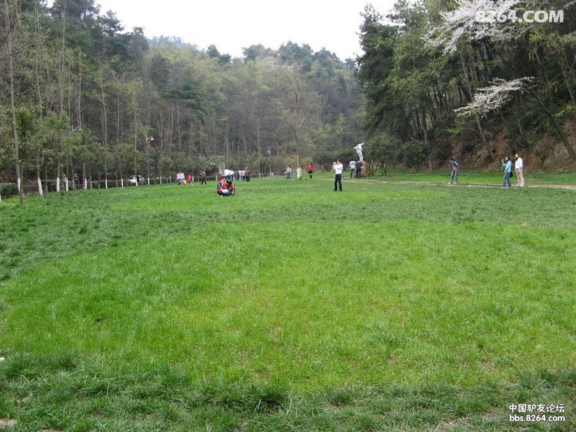 095156pw8qe8tst99mjtes - 自驾旅行 房车越野 川藏线 公路旅行 在野 去没有天花板的地方