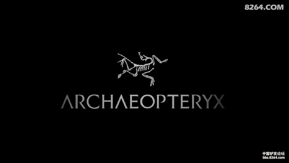 重大消息始祖鸟正式更名"archaeopteryx"!(第三页新增图片)