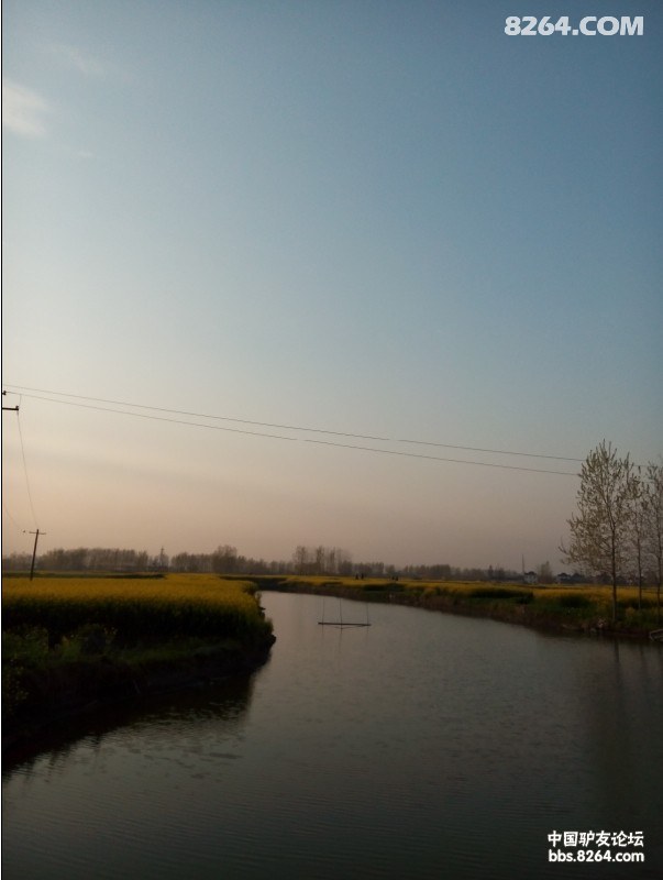 QQͼƬ20140408144028.jpg