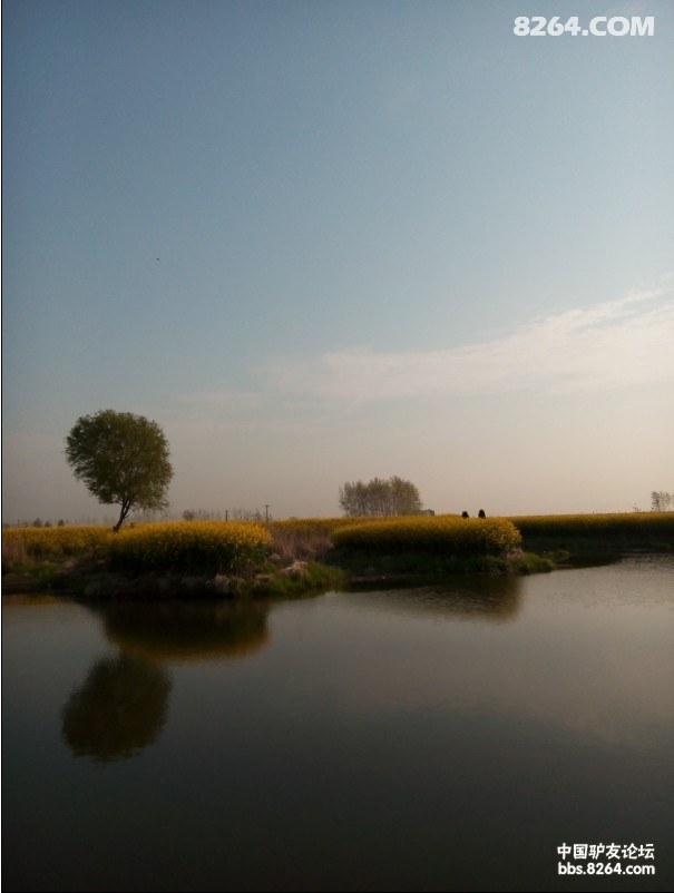 QQͼƬ20140408144415.jpg
