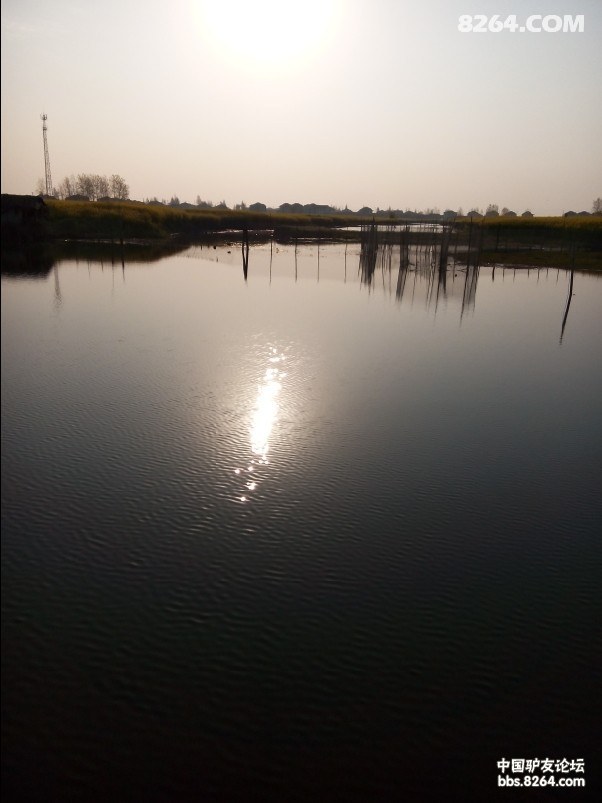 QQͼƬ20140408144525.jpg