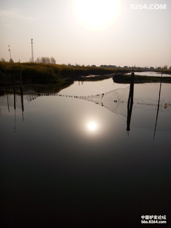 QQͼƬ20140408144556.jpg