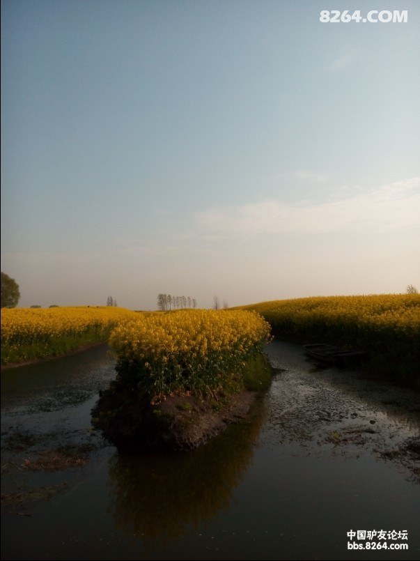 QQͼƬ20140408144626.jpg