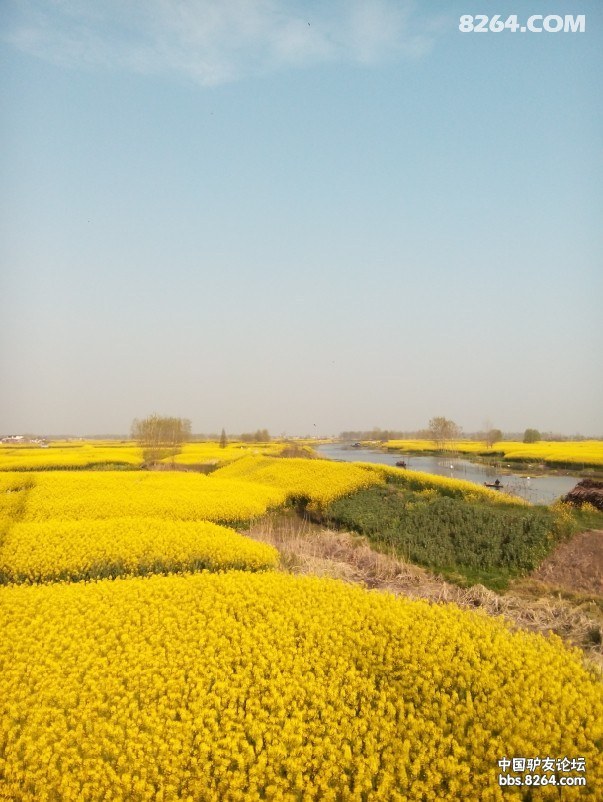 QQͼƬ20140408145802.jpg