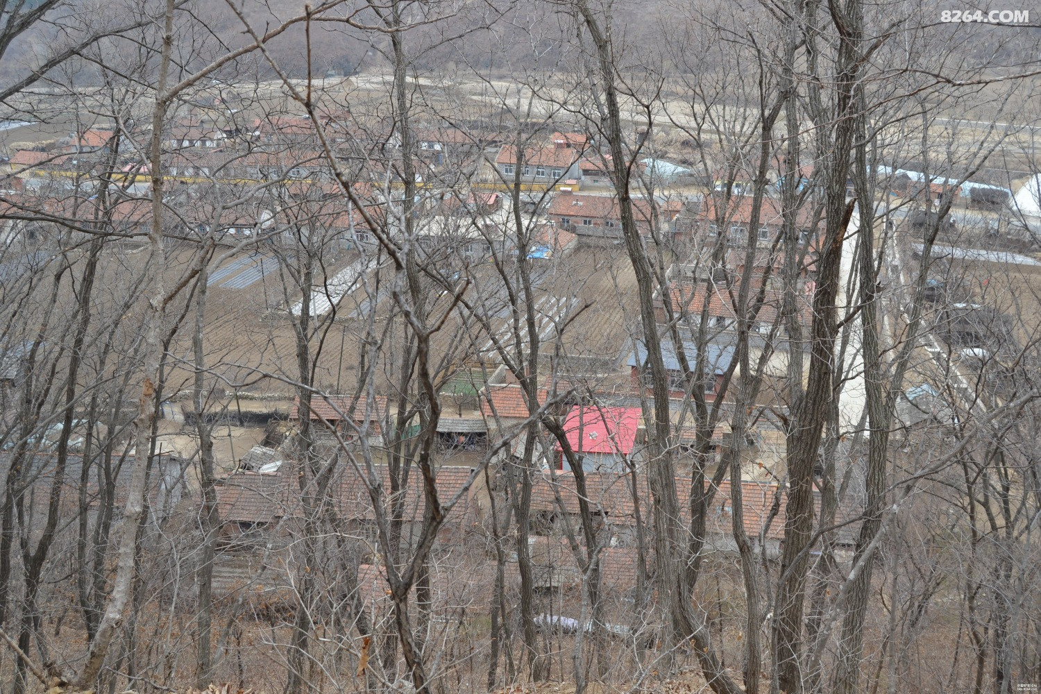 人一生值得去的地方中国丹东宽甸满族自治县白鹭村鹭鸶的呼唤