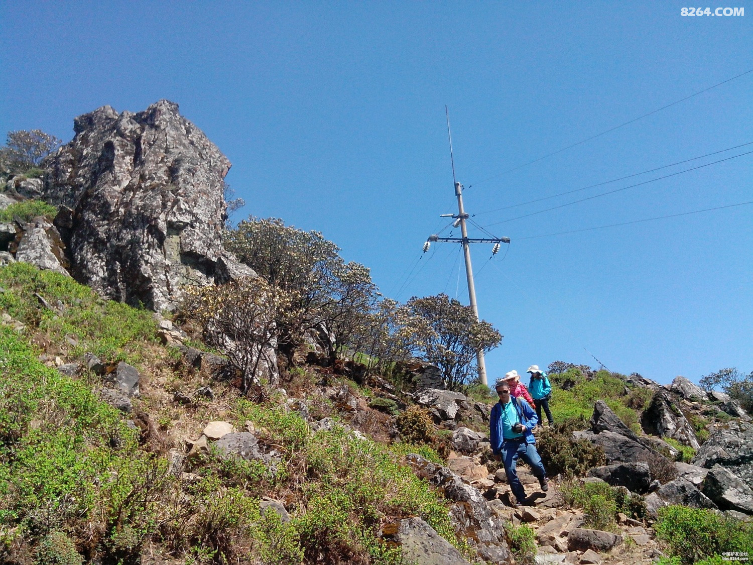 登会理龙肘山