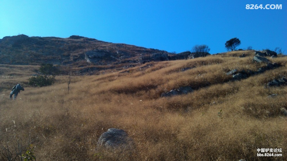 ����԰--��β�ִ�Խ·��;�羰8.JPG