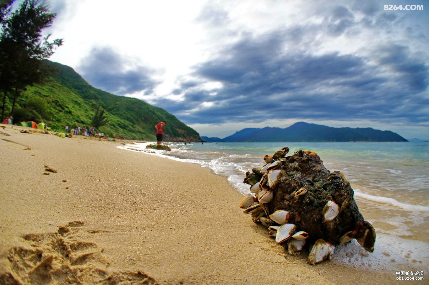 周末三门岛露营我与狗狗鲁滨逊的邂逅看见了蓝色沙滩作业贴